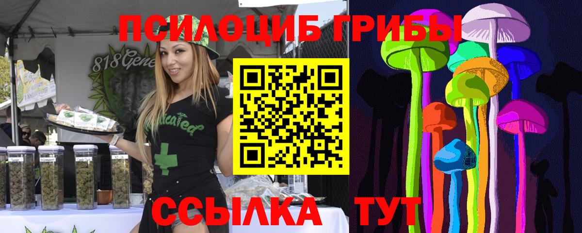 Галлюциногенные грибы Psilocybe Нижнекамск